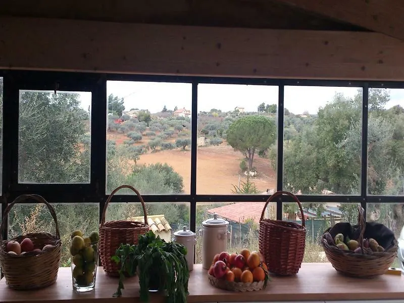 Riserva Del Noce Caltagirone